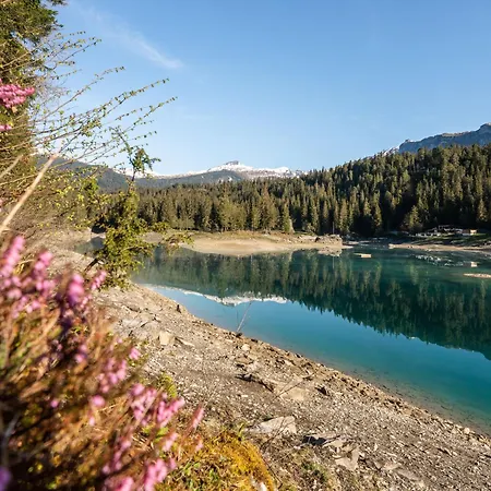 Alpetta By Interhome Holiday home Flims